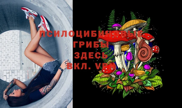 соль курить ск Белокуриха