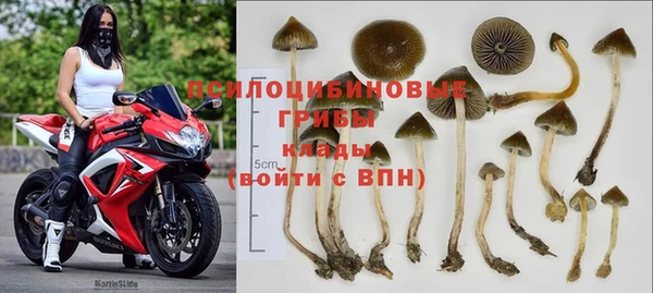 PSILOCYBIN Белоозёрский