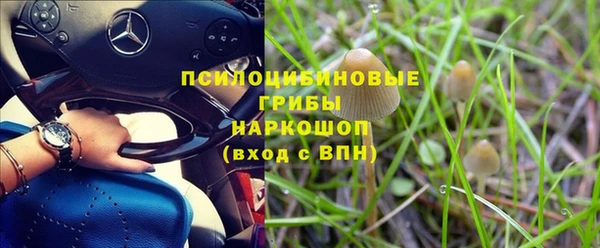 PSILOCYBIN Белоозёрский